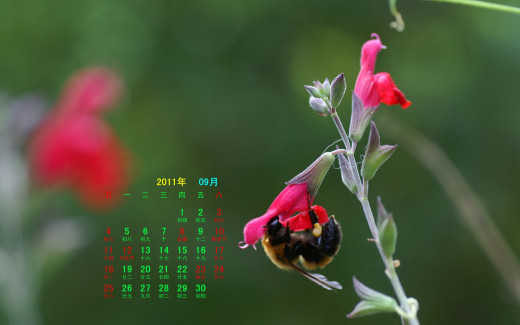 537696 (a): :1920x1200